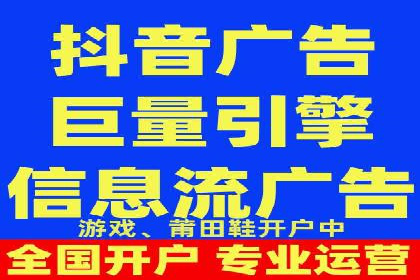 XX领域竞价广告的投放策略及效果展示
